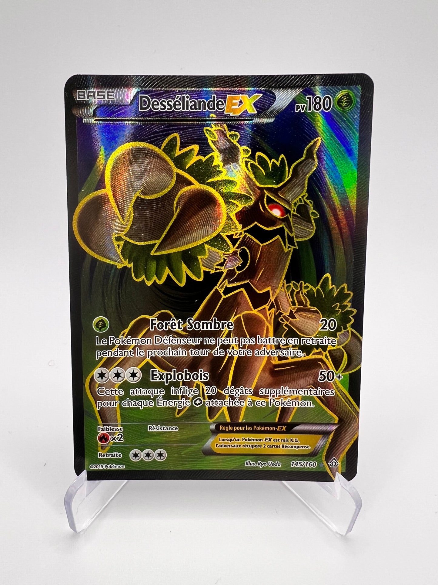 Desséliande Ex 145/160 Pikadi Collect
