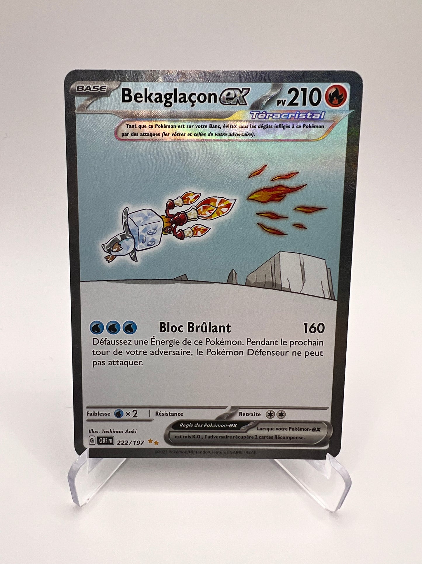 Bekaglaçon 222/197