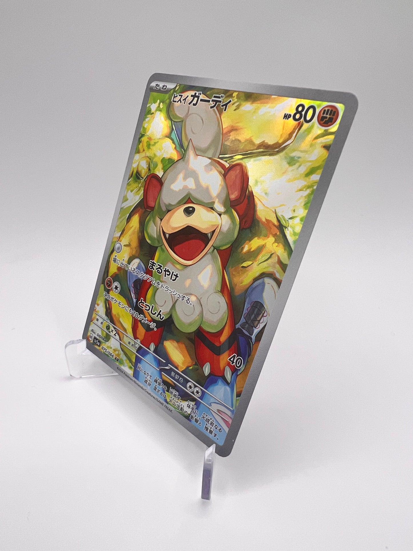 Caninos de Hisui (sv5a 075) Jap