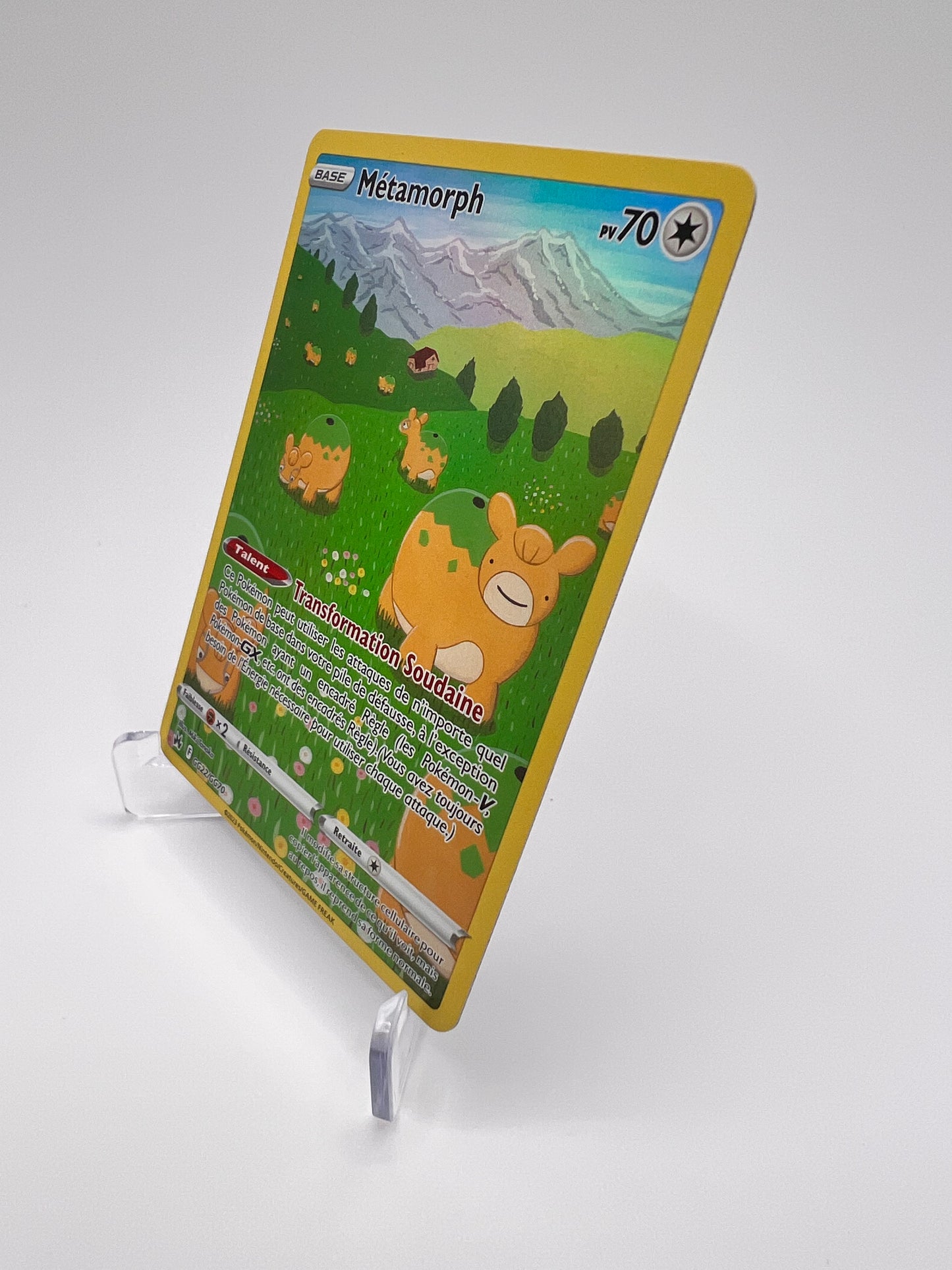 Métamorph GG22/GG70 Pikadi Collect
