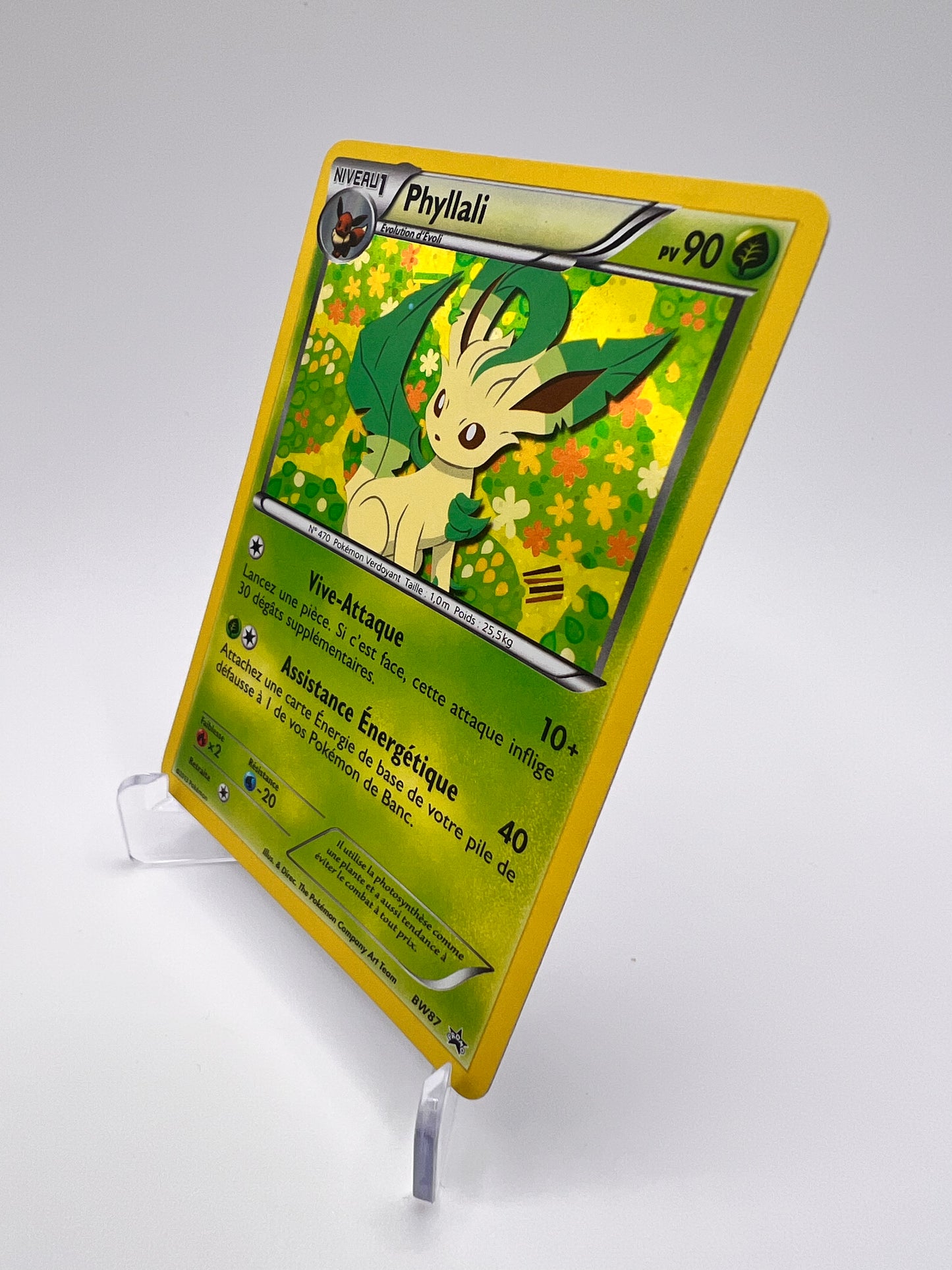 Phyllali BW87 Pikadi Collect