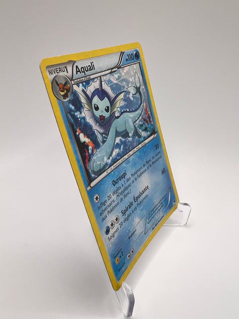Aquali 3/12 Pikadi Collect