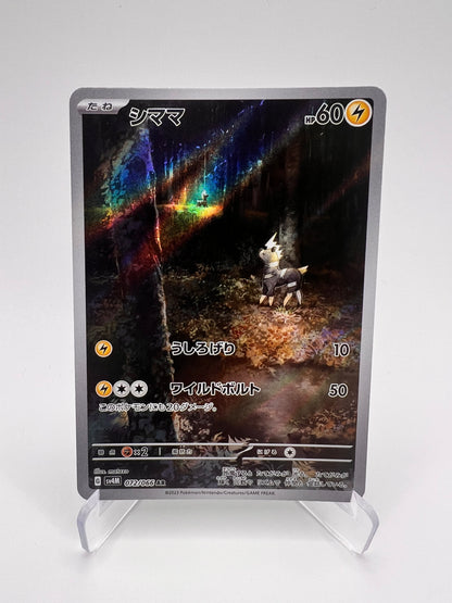 Blitzle (sv4M 072) Jap Pikadi Collect