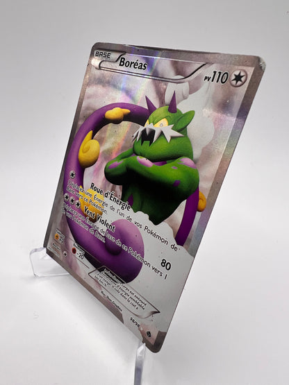 Boréas 98/98 Pikadi Collect