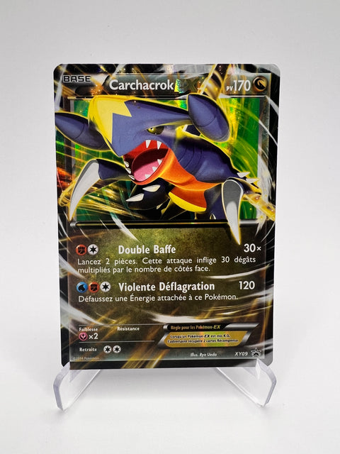 Carchacrok XY09 Pikadi Collect
