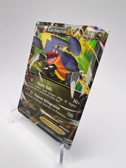 Carchacrok XY09 Pikadi Collect