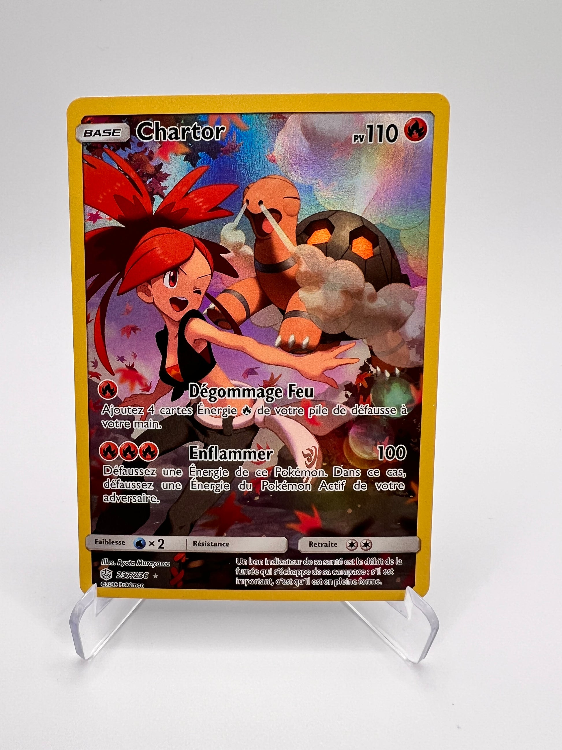 Chartor 237/236 Pikadi Collect