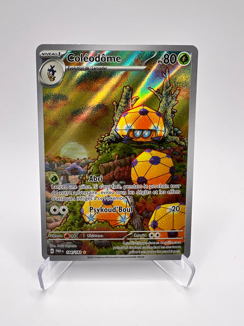 Coléodôme 184/182 Pikadi Collect