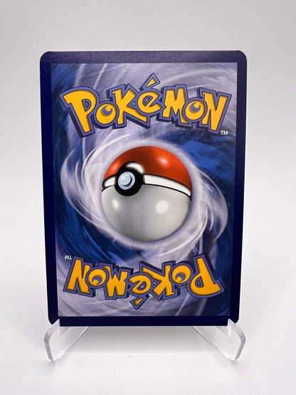 Evoli 174 Pikadi Collect