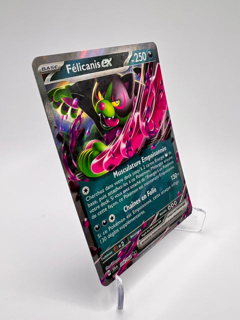 Félicanis Ex 036/064 Pikadi Collect