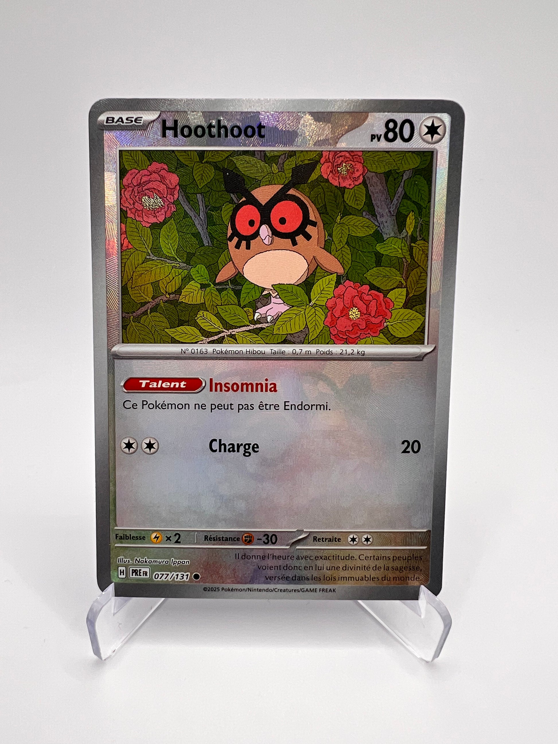 Hoothoot 077/131 Masterball Pikadi Collect
