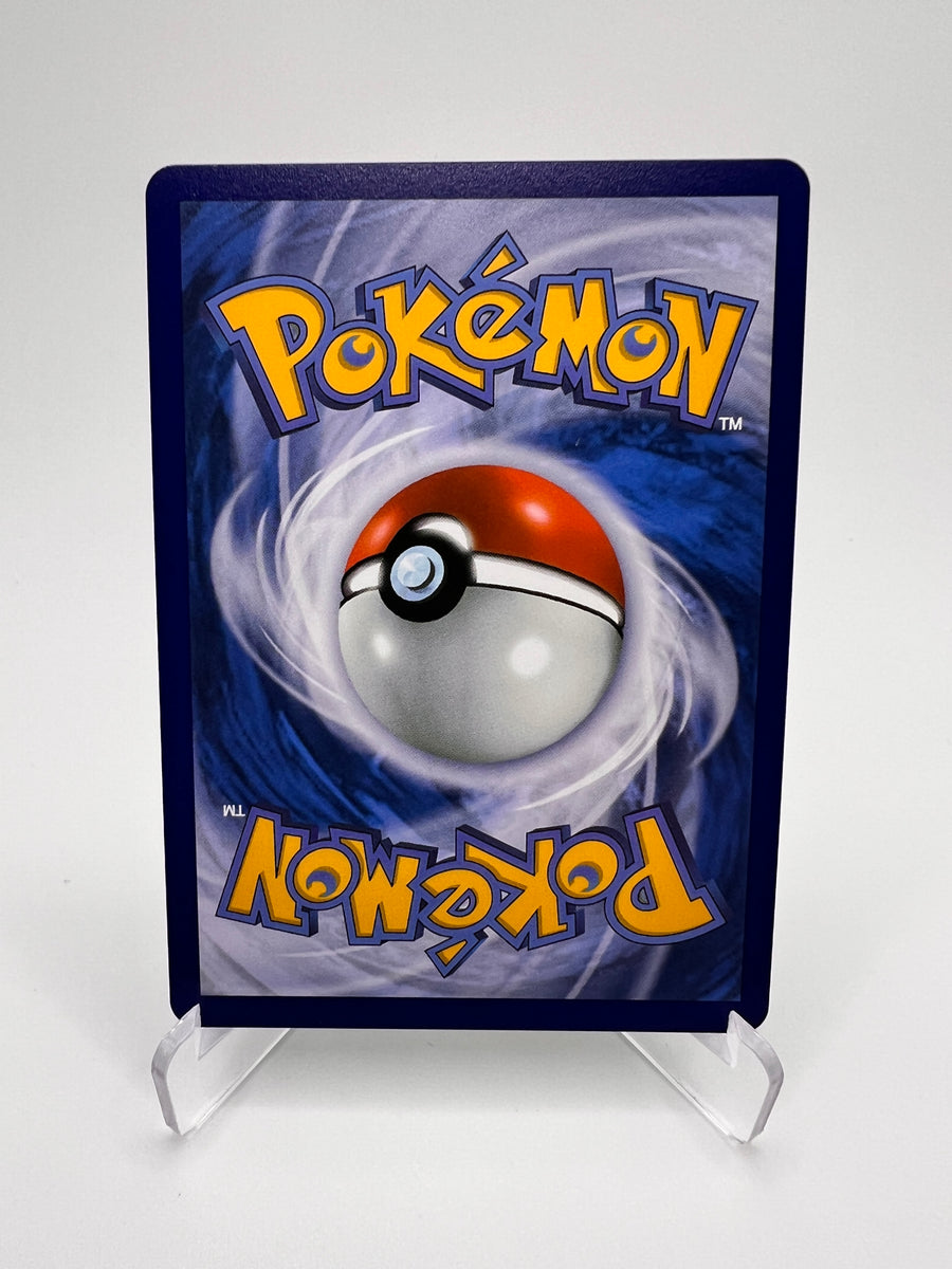 Poffin Copain Copain 167/132 - Mega Evolutions