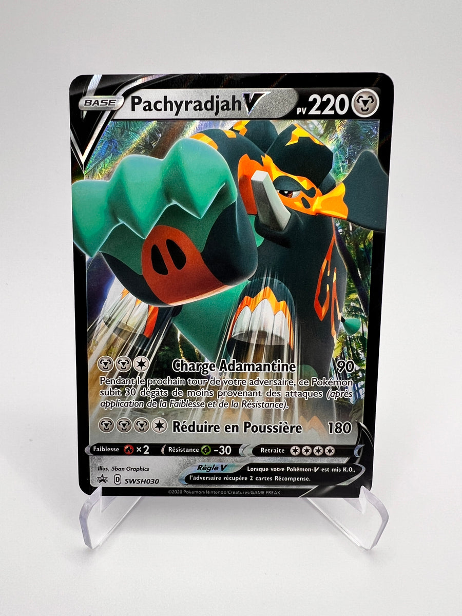 Pachyradjah V SWSH030