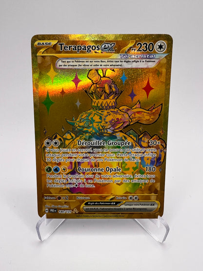 Terapagos Ex 180/131