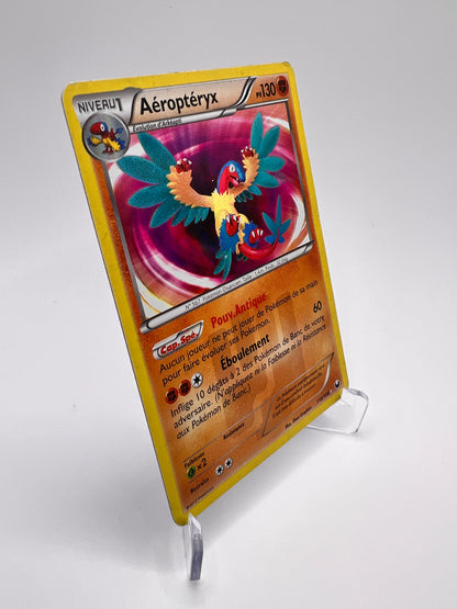 Aéroptéryx 110/108