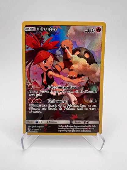 Chartor 237/236
