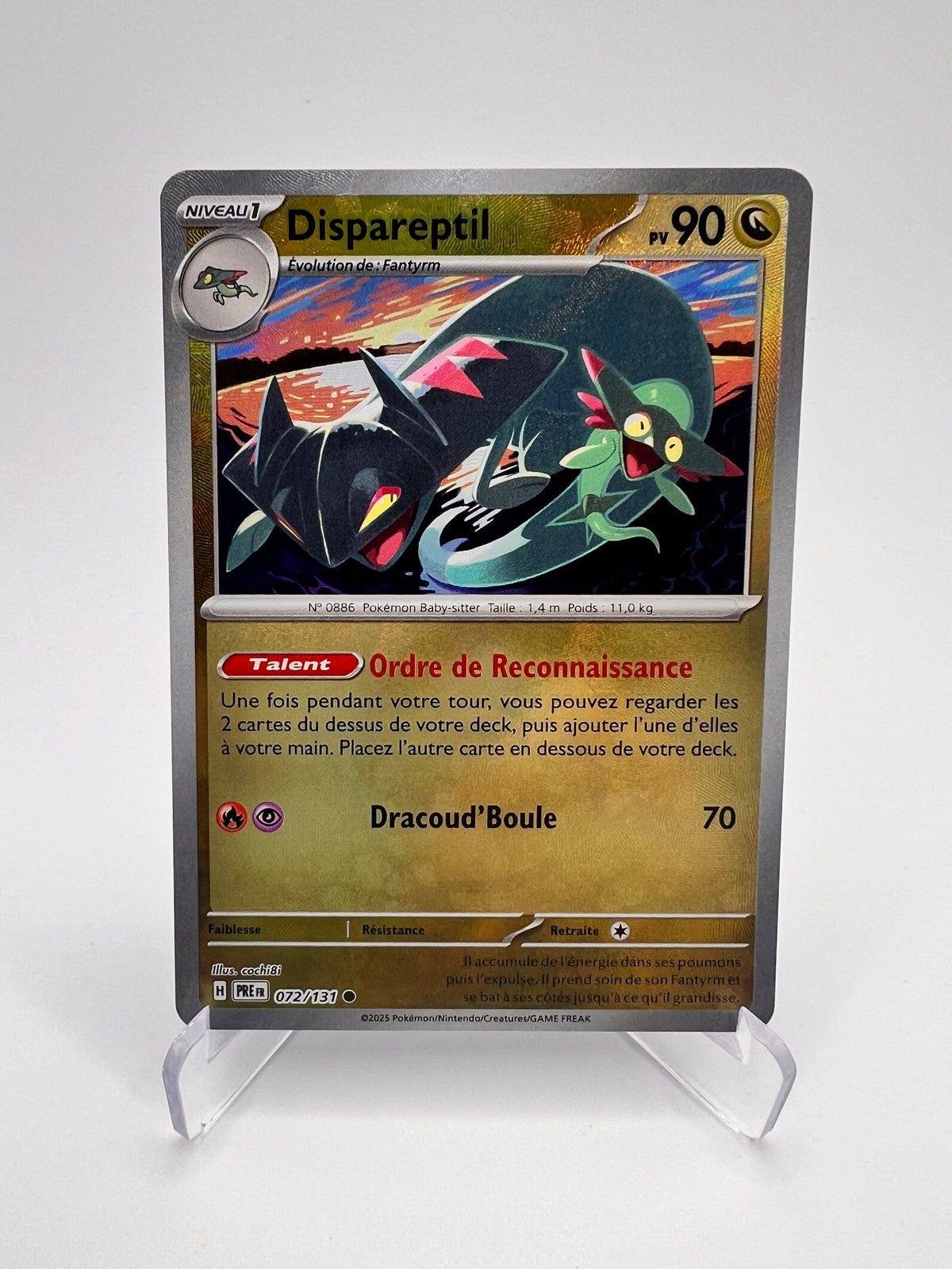 Dispareptil 072/131