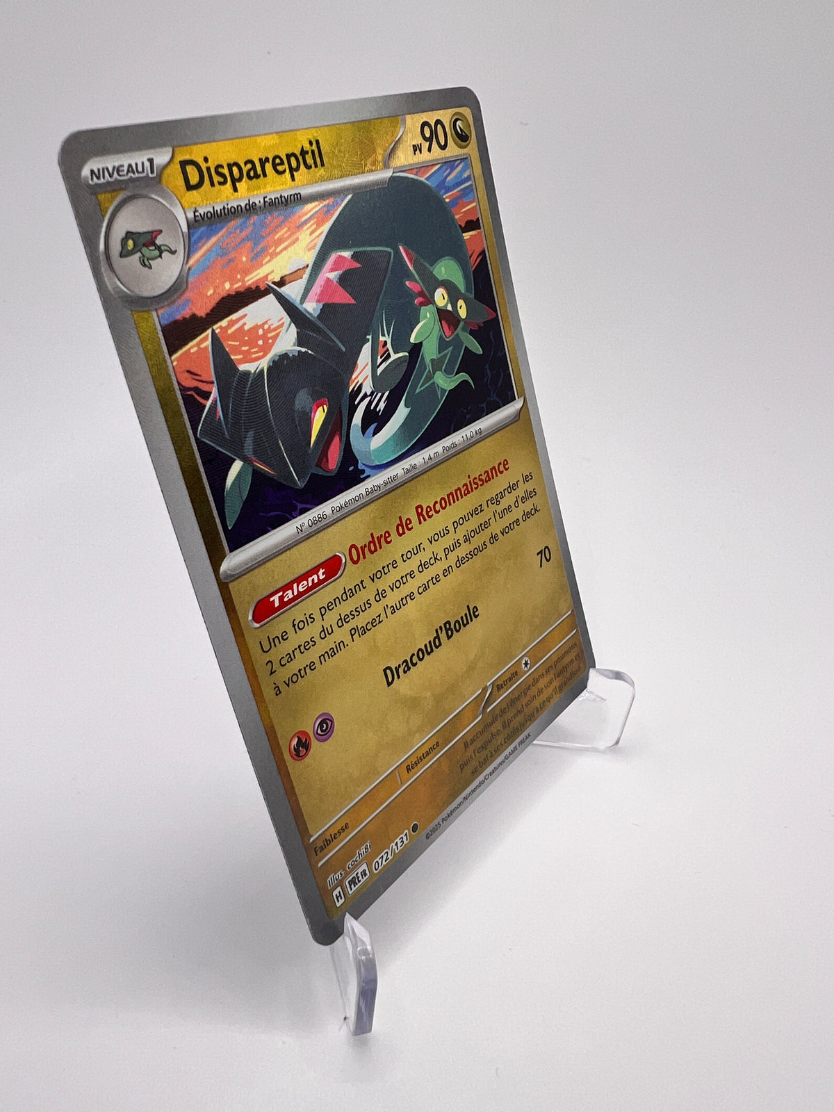 Dispareptil 072/131