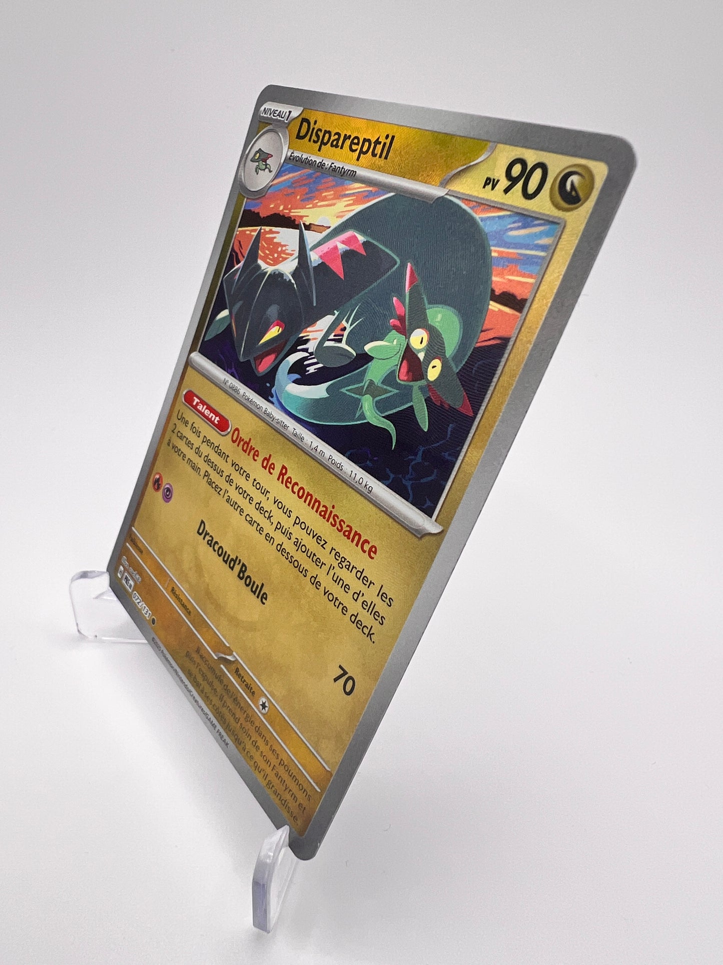 Dispareptil 072/131