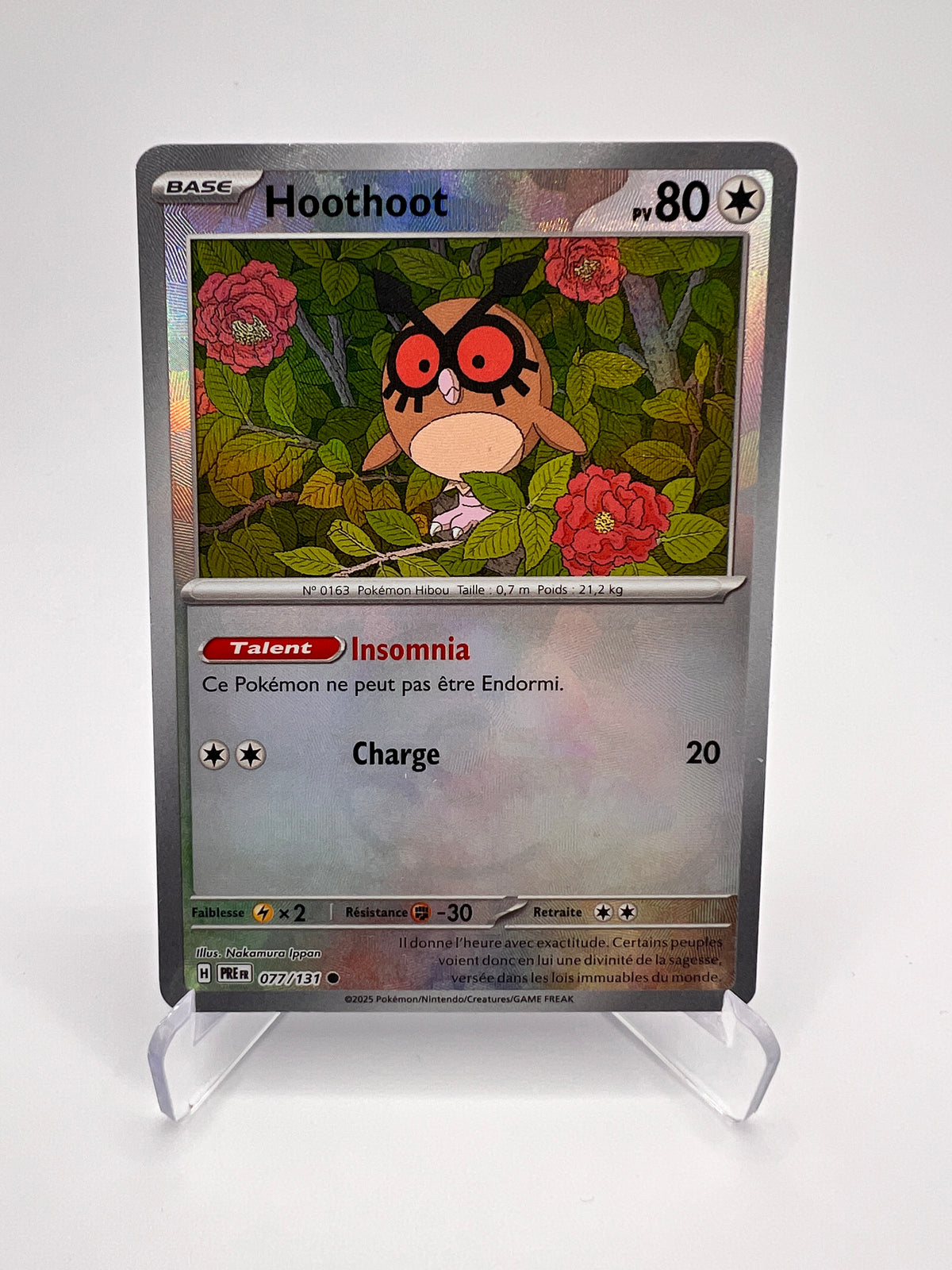 Hoothoot 077/131