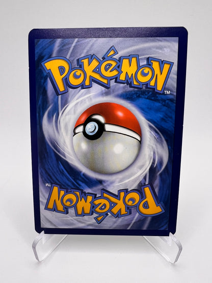 Evoli 188/167 Pikadi Collect