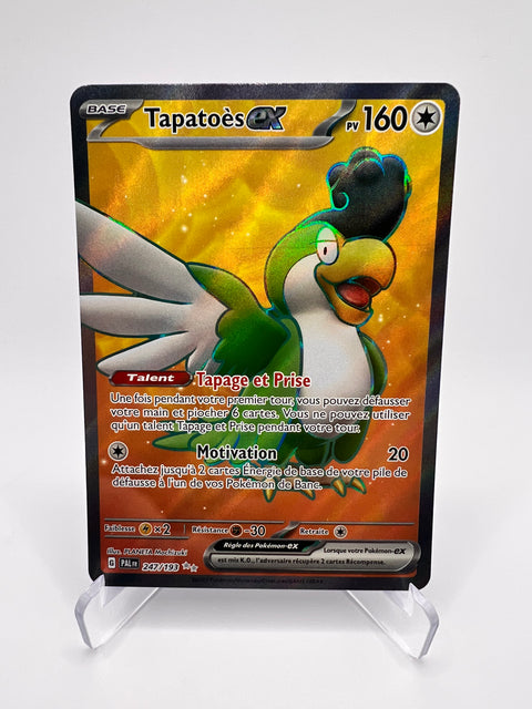 Tapatoès Ex 247/193 Pikadi Collect