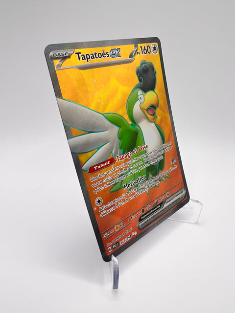 Tapatoès Ex 247/193 Pikadi Collect