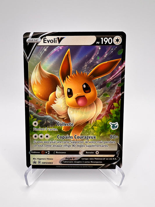 Evoli V SWSH065 Pikadi Collect
