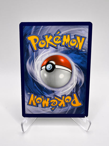 Evoli V SWSH065 Pikadi Collect