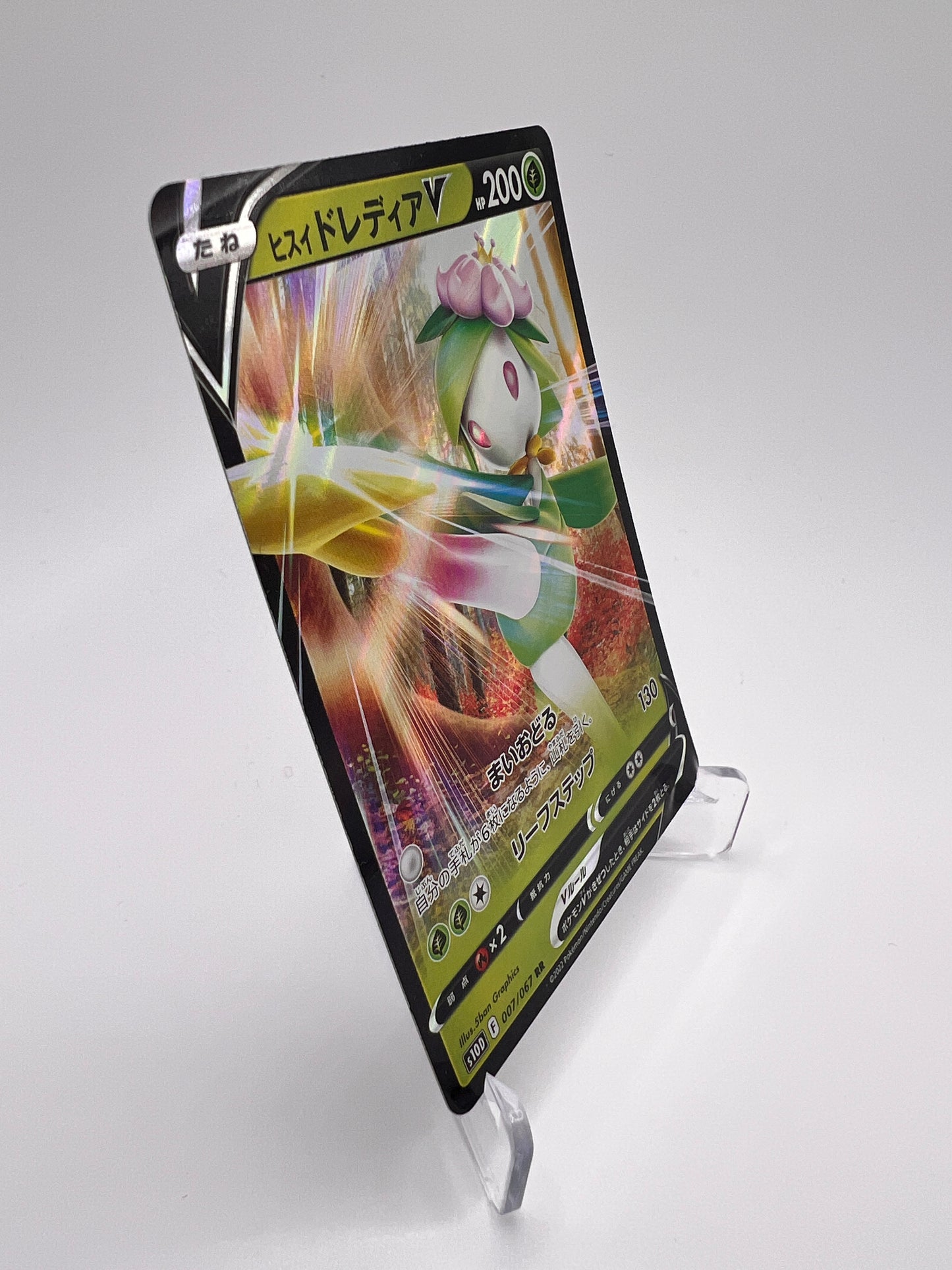 Fragilady de Hisui V (s10D 007) Jap