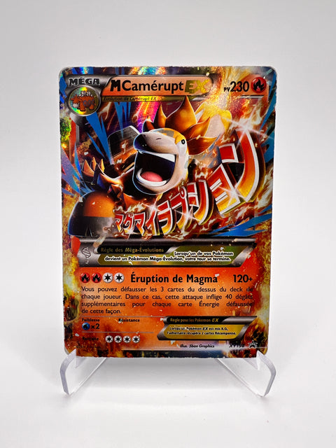 M Camérupt XY198