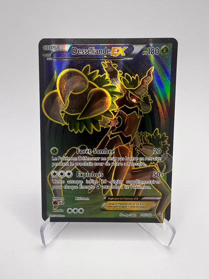 Desséliande Ex 145/160