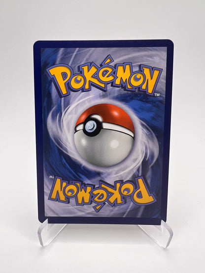 Méga-Dracaufeu X Ex 013/094