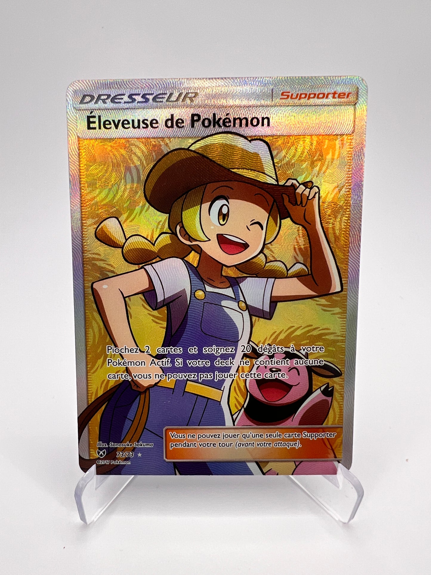 Éleveuse de Pokémon 73/73 | Pikadi-Collect