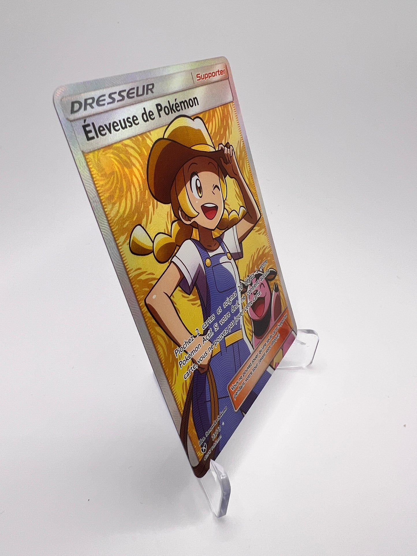 Éleveuse de Pokémon 73/73 | Pikadi-Collect