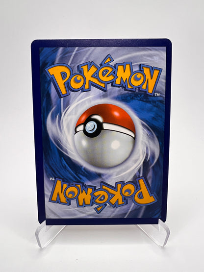 Bayar 203/195 | Pikadi-Collect