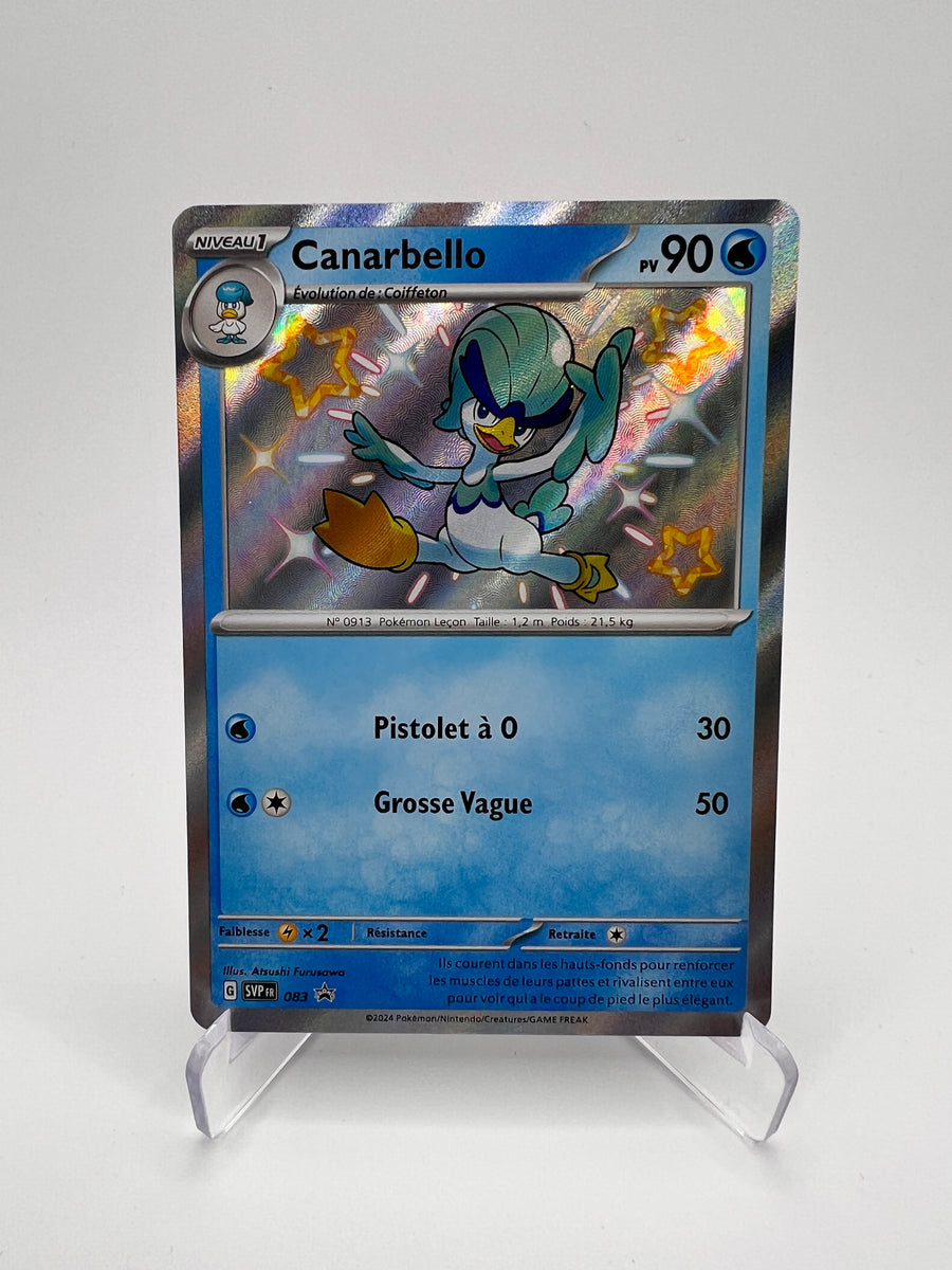 Canarbello 083