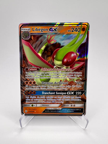 Libégon GX 110/236