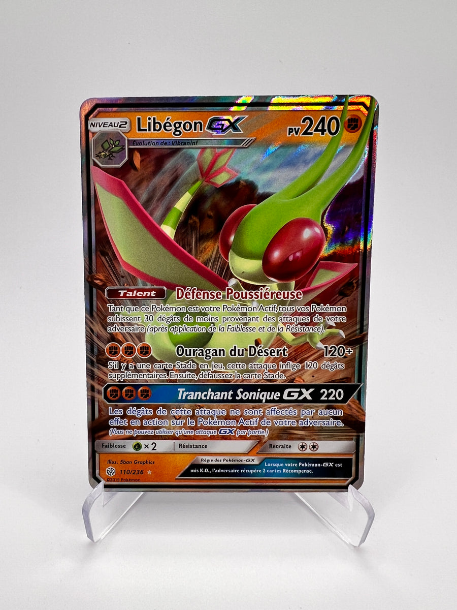 Libégon GX 110/236