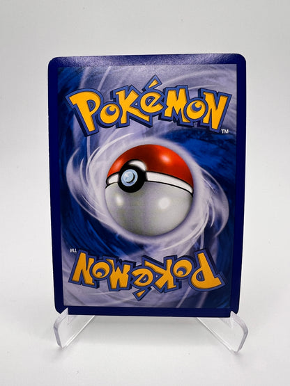 Ursaring 89/95