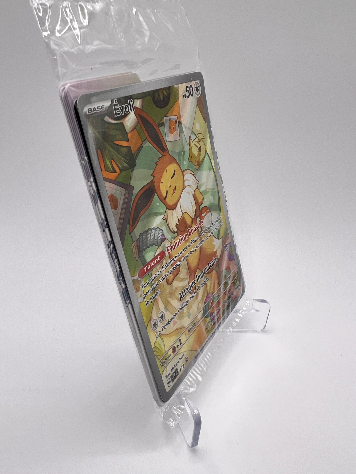 Evoli 173