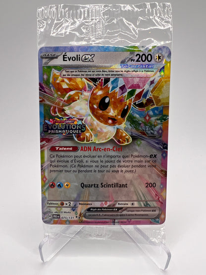 Evoli ex 075/131 - Evolutions