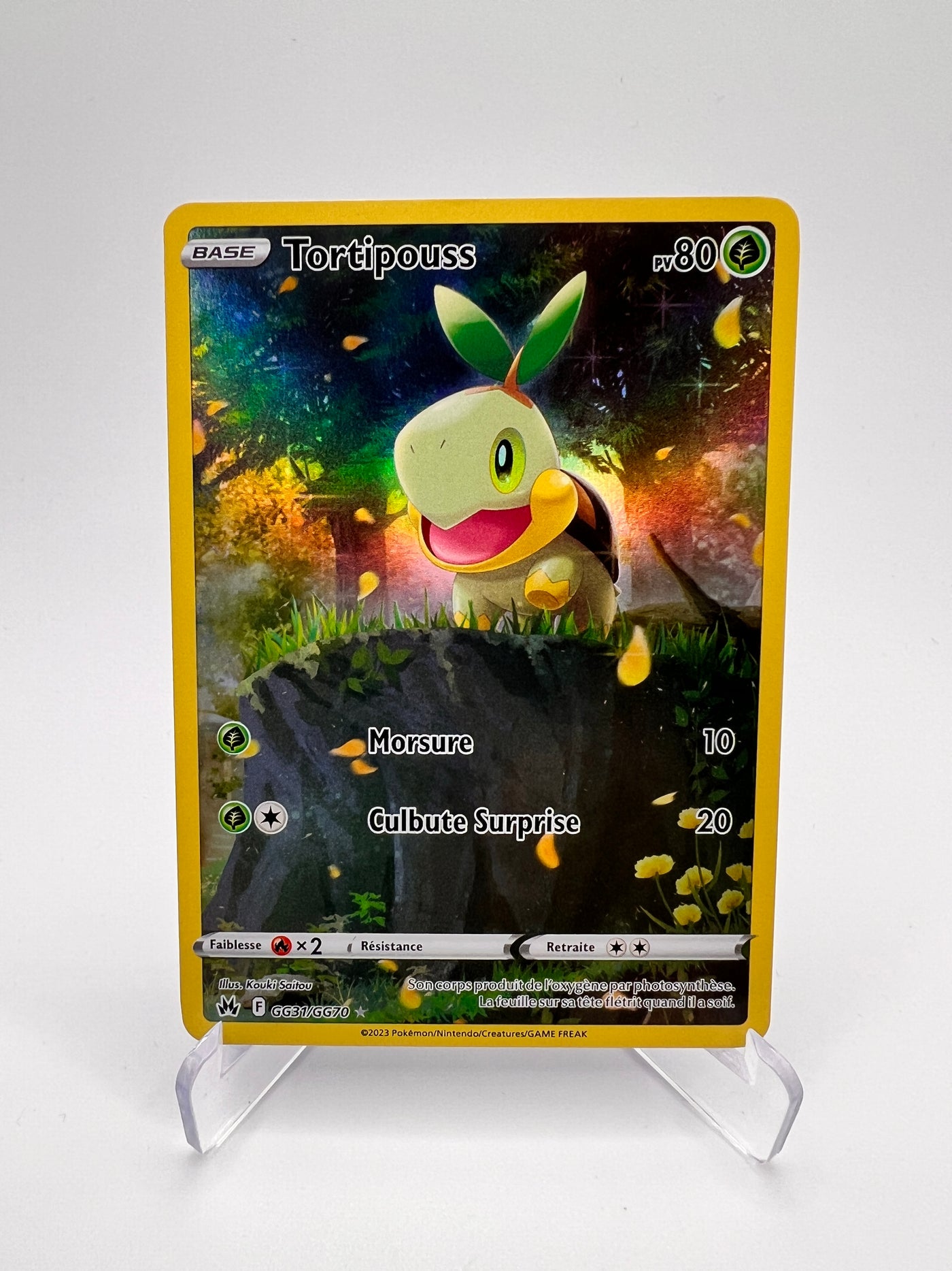 Carte Pokémon — Photo réelle