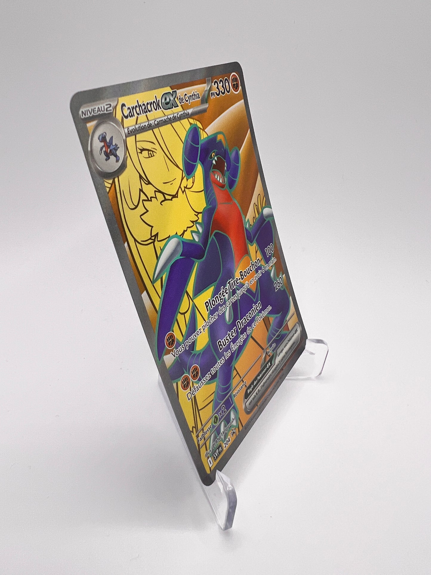 Carchacrok Ex de Cynthia SVP 204