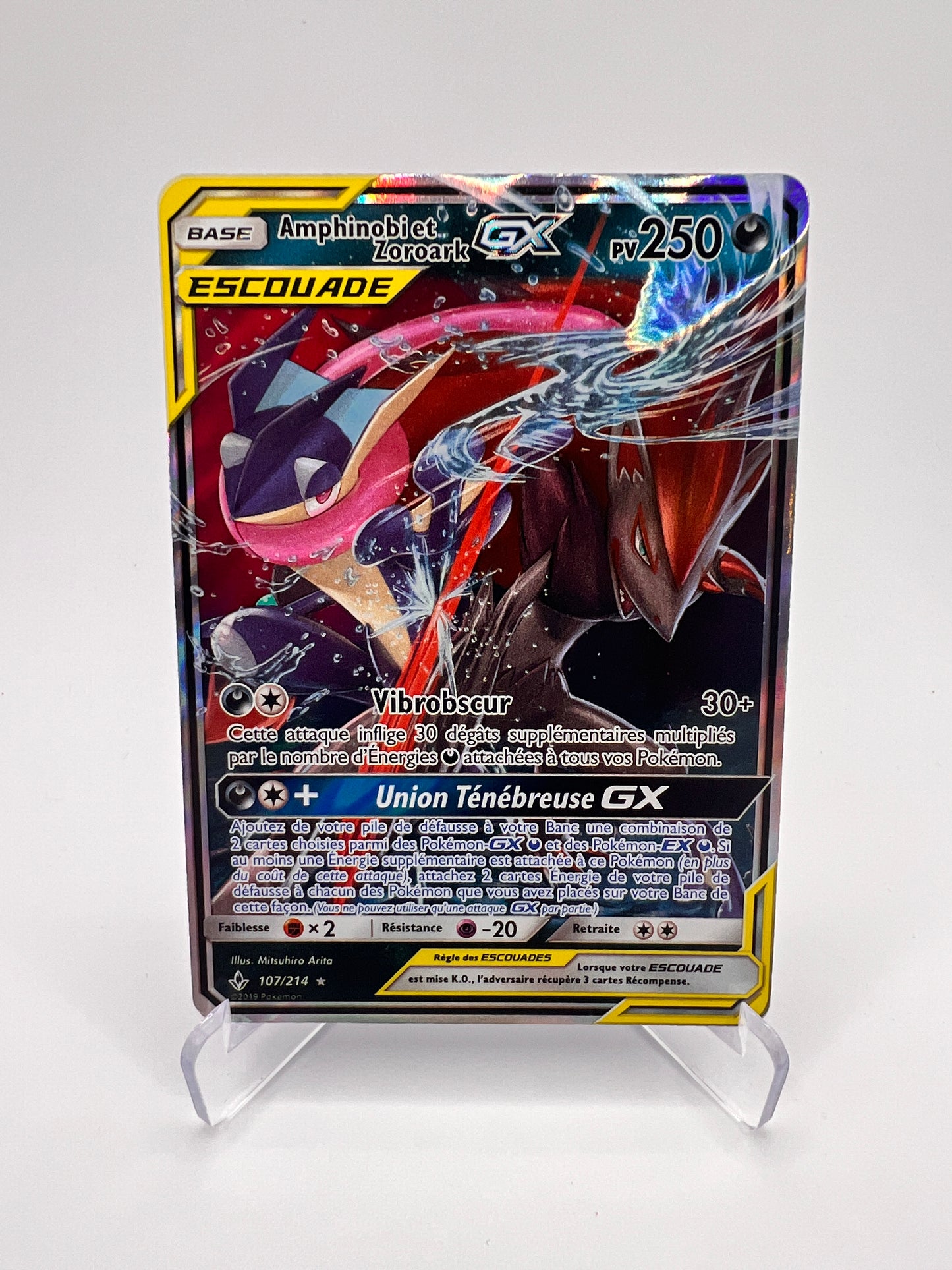 Amphinobi et Zoroark GX 107/214