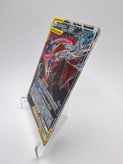 Amphinobi et Zoroark GX 107/214