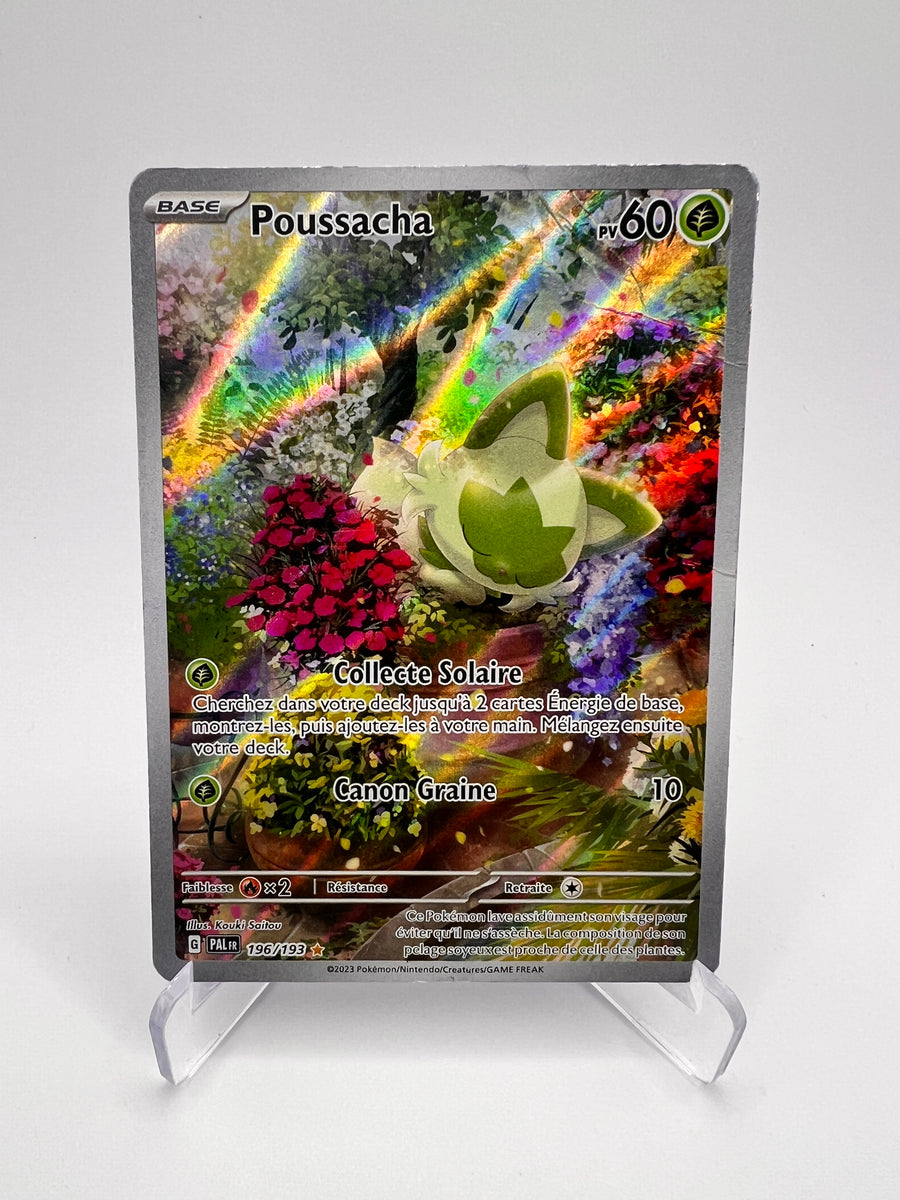 Poussacha 196/193
