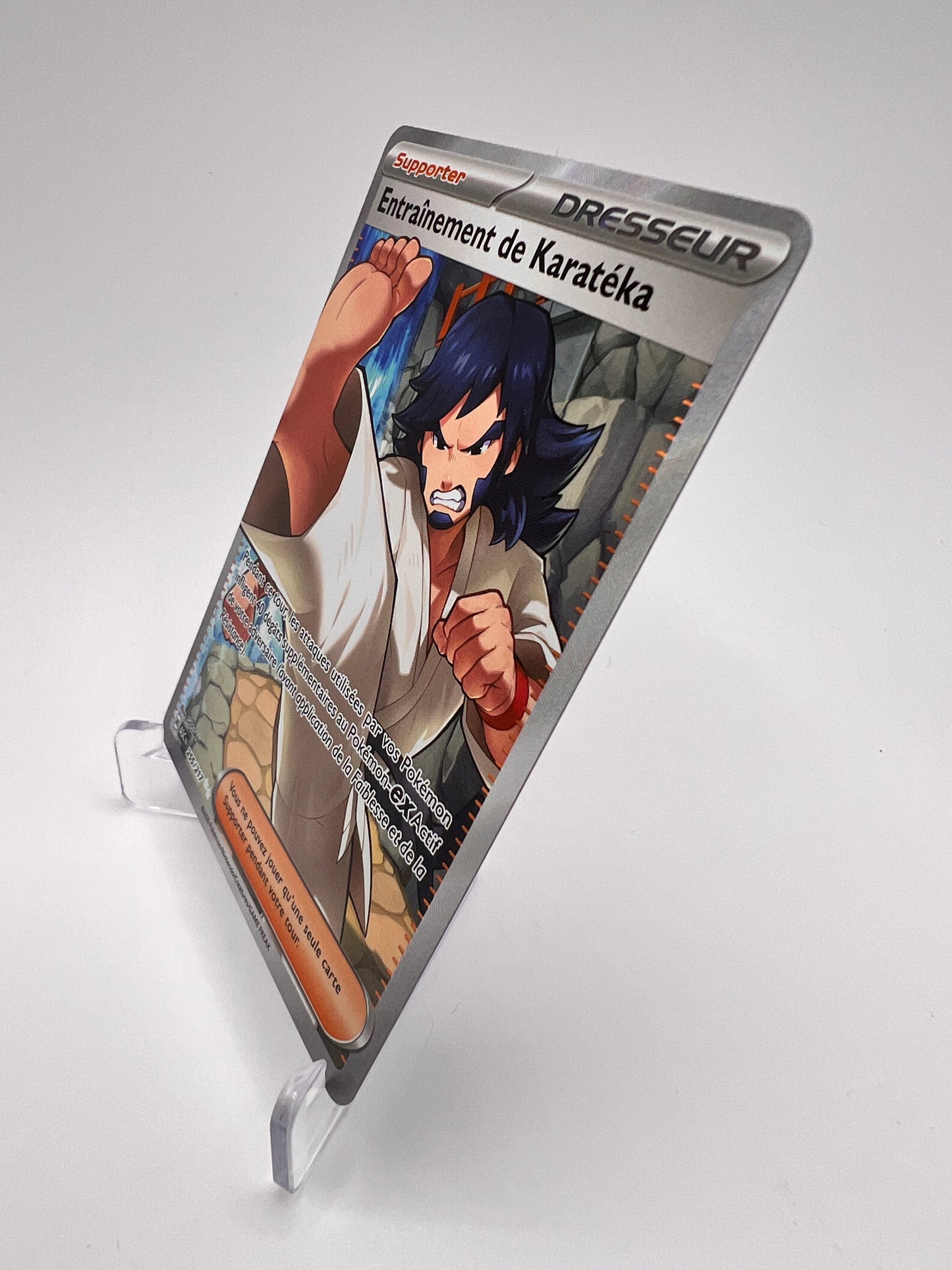 Entraînement de Karatéka 255/217