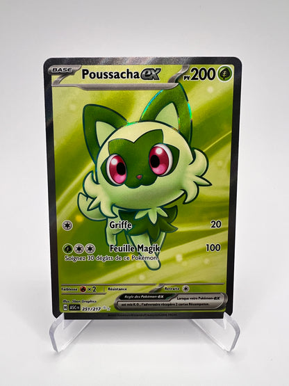 Poussacha Ex 251/217