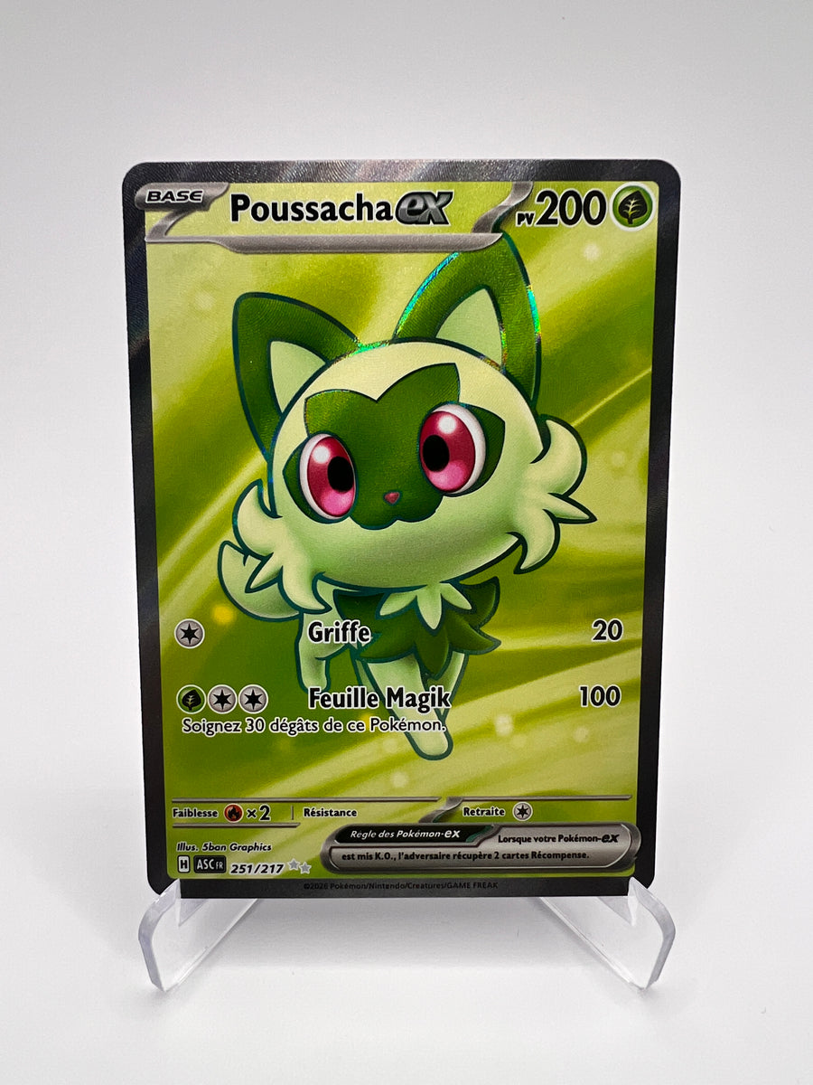 Poussacha Ex 251/217